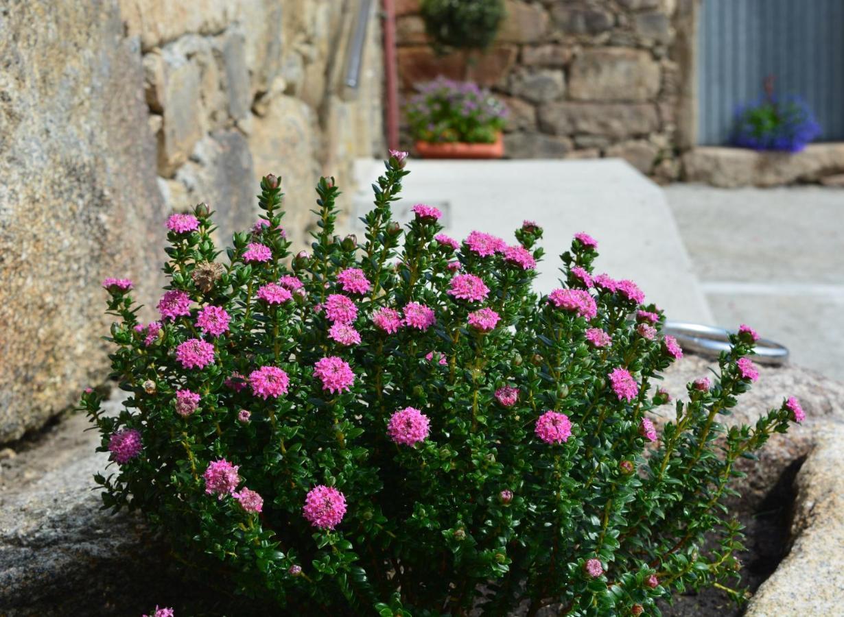 Casa De Valente - Camarinas Villa Luaran gambar